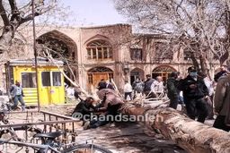 سقوط درخت تنومند در بازار تبریز/ یک نفر مصدوم شد +عکس