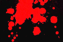 جنایت هولناک پسر شیشه‌ای تن همه را لرزاند | قتل پدر در درگیری خونین 