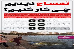 تمساح دیدین این کارها را انجام دهید + جزئیات