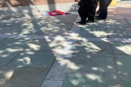 آخرین خبر از ۲ نوزاد رها شده در شمال و جنوب پایتخت