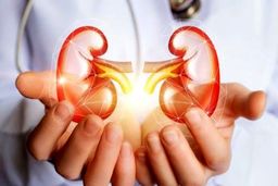 اگر این علائم را دارید کلیه شما در خطر است ! | فورا به پزشک مراجعه کنید !