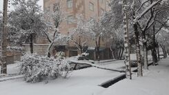 هشدار جدی هواشناسی | بارش برف و باران در ۱۸ استان از فردا 