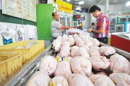 قیمت مرغ امروز ۲۳ مرداد چقدر شد ؟ +جدول