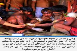 غیر انسانی ترین رفتار با جسد! | مرده خوارهای وحشتناک