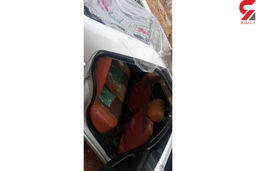 سوء قصد وحشتناک به کارمند شهرداری در پارک +عکس