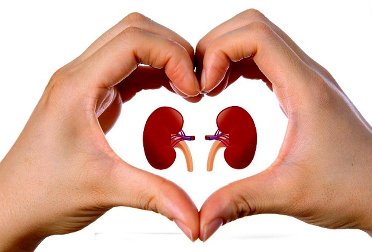 علائم سنگ کلیه را بشناسید!