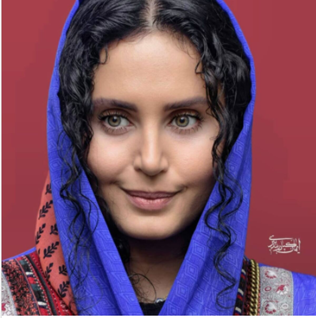 زندگینامه الناز شاکردوست
