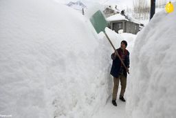 بارش سنگین برف در آبعلی/ برف در آبعلی نیم متر شد!‌+ فیلم