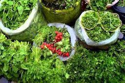 اتفاق عجیب و غریب در بازار | سبزی خشک‌شده هم‌قیمت گوشت شد؟