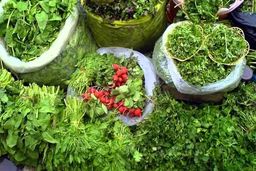 افزایش بی سابقه قیمت سبزی در بازار