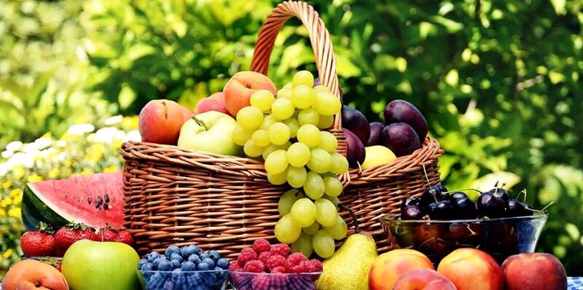 جدیدترین قیمت میوه های پرطرفدار تابستانی | کدام میوه‌ها ارزان شدند؟