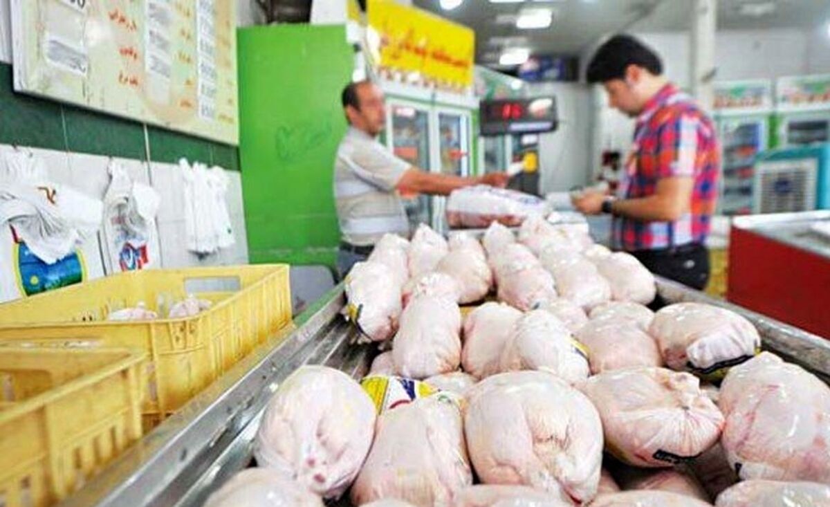 قیمت مرغ و جوجه چقدر شد؟