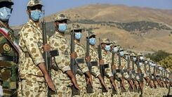 خبرجنجالی نماینده مجلس درباره حقوق سربازان 