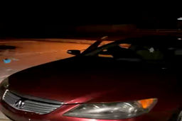 کلیپی که در شبکه های اجتماعی ۱۵ میلیون بار دیده شد
