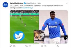 دردسر گربه خانگی برای فوتبالیست مطرح/ 5 سال زندان برای یک شوت!