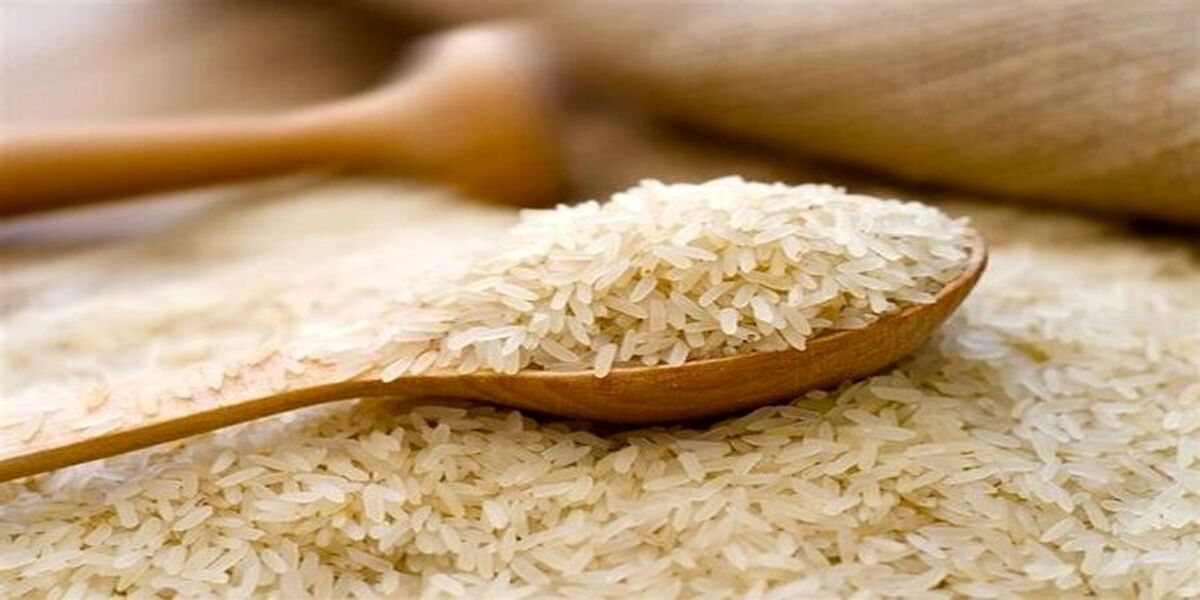 قیمت برنج  ۳۵ تومان ارزان‌تر شد