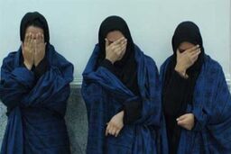 باند هشت نفره زنان جیب‌ بر دستگیر شدند