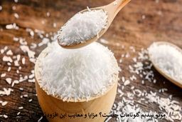 مونو سدیم گلوتامات MSG چیست؟ مزایا و معایب این افزودنی غذایی عجیب