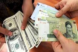 شوک ناگهانی برای خریداران ارز | خریداران ارز چقدر ضرر کردند؟