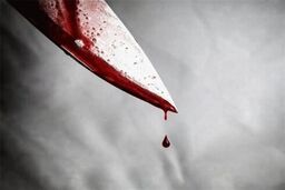 درگیری هولناک خانوادگی با مرگ 3 نفر تمام شد | قاتل بی رحم فرار کرد