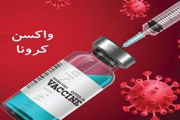 مرگ بر اثر تزریق واکسن کرونای فایزر / جزئیات
