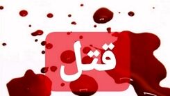 نوه های بی صفت مادر بزرگ را به خاطر پول کشتند