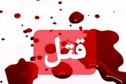 نوه های بی صفت مادر بزرگ را به خاطر پول کشتند