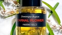 سایت rayeheeh.com عطر مورد علاقه سیاستمداران مشهور را لو داد + عکس