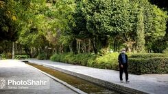 خبر خوش درباره وام جدید تامین اجتماعی 