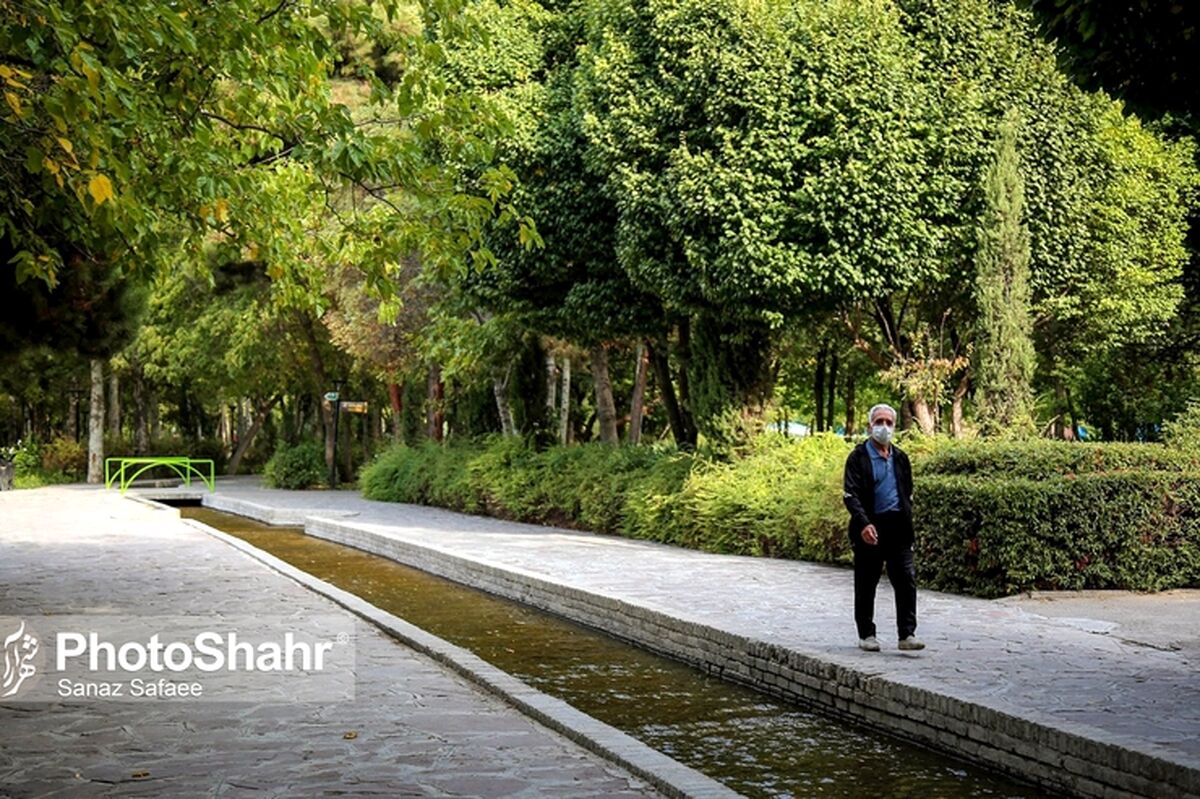 تامین اجتماعی زمان ورشکستگی خود را اعلام کرد