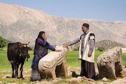 10 روش برای بهبود سئوی درون صفحه